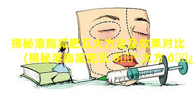 揭秘溶脂减肥五大方法及效果对比(揭秘溶脂减肥五 💮 大方 🌿 法及效果对比图片)